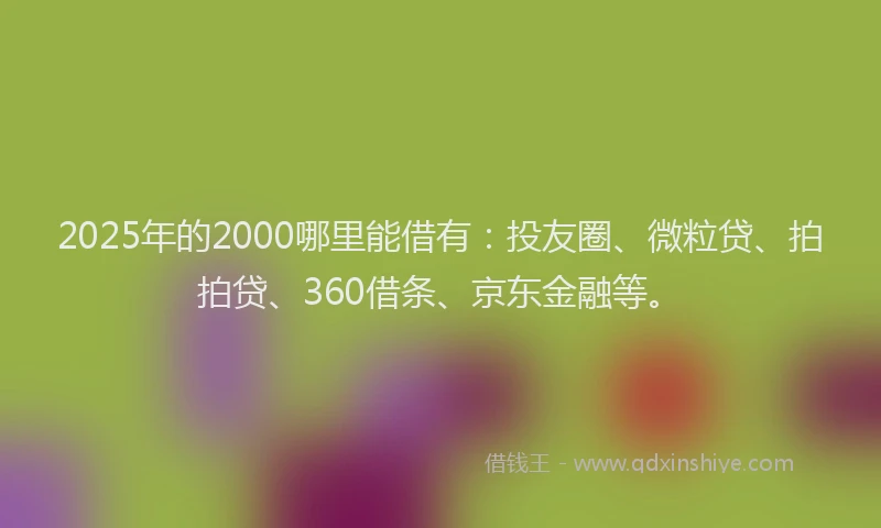 2025年的2000哪里能借有：投友圈、微粒贷、拍拍贷、360借条、京东金融等。