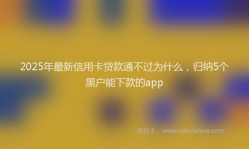 2025年最新信用卡贷款通不过为什么，归纳5个黑户能下款的app