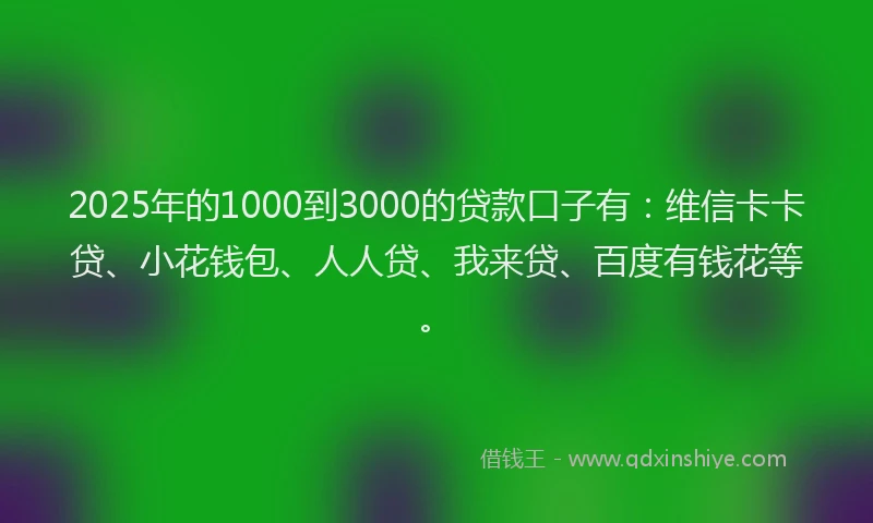 2025年的1000到3000的贷款口子有：维信卡卡贷、小花钱包、人人贷、我来贷、百度有钱花等。