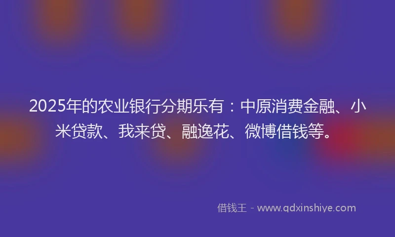 2025年的农业银行分期乐有：中原消费金融、小米贷款、我来贷、融逸花、微博借钱等。