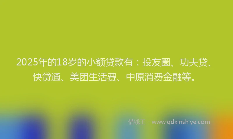 2025年的18岁的小额贷款有：投友圈、功夫贷、快贷通、美团生活费、中原消费金融等。