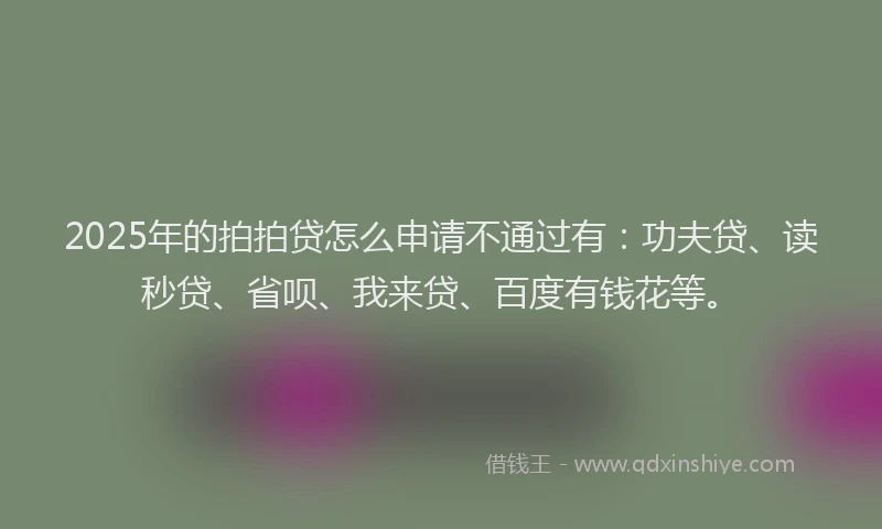 2025年的拍拍贷怎么申请不通过有：功夫贷、读秒贷、省呗、我来贷、百度有钱花等。