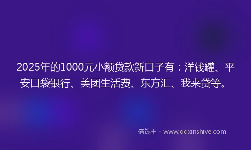 2025年的1000元小额贷款新口子有：洋钱罐、平安口袋银行、美团生活费、东方汇、我来贷等。