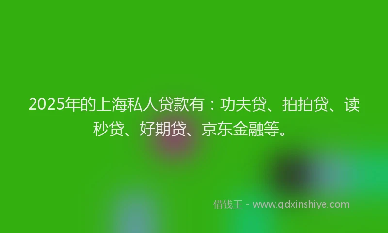 2025年的上海私人贷款有：功夫贷、拍拍贷、读秒贷、好期贷、京东金融等。