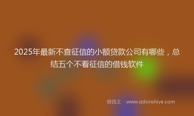 2025年最新不查征信的小额贷款公司有哪些，总结五个不看征信的借钱软件