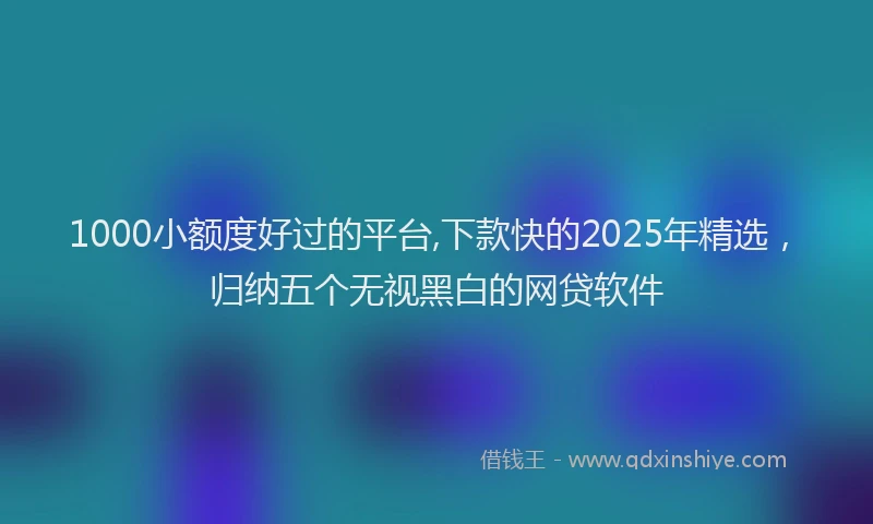 1000小额度好过的平台,下款快的2025年精选，归纳五个无视黑白的网贷软件
