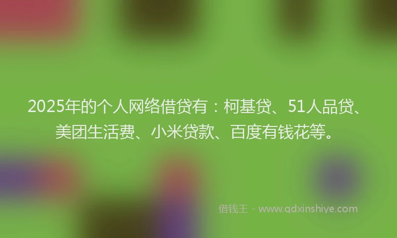 2025年的个人网络借贷有：柯基贷、51人品贷、美团生活费、小米贷款、百度有钱花等。
