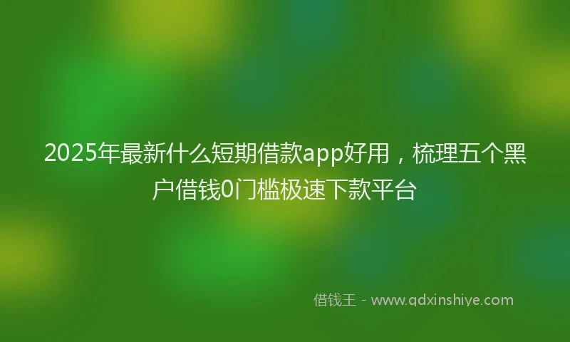 2025年最新什么短期借款app好用，梳理五个黑户借钱0门槛极速下款平台