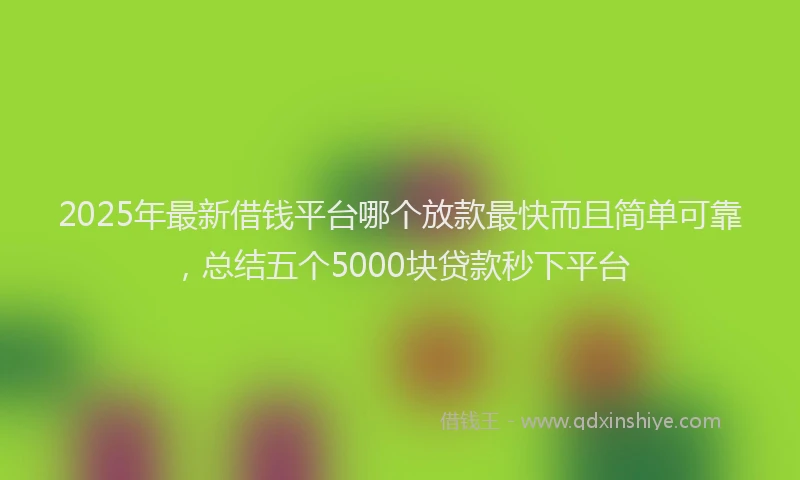 2025年最新借钱平台哪个放款最快而且简单可靠，总结五个5000块贷款秒下平台