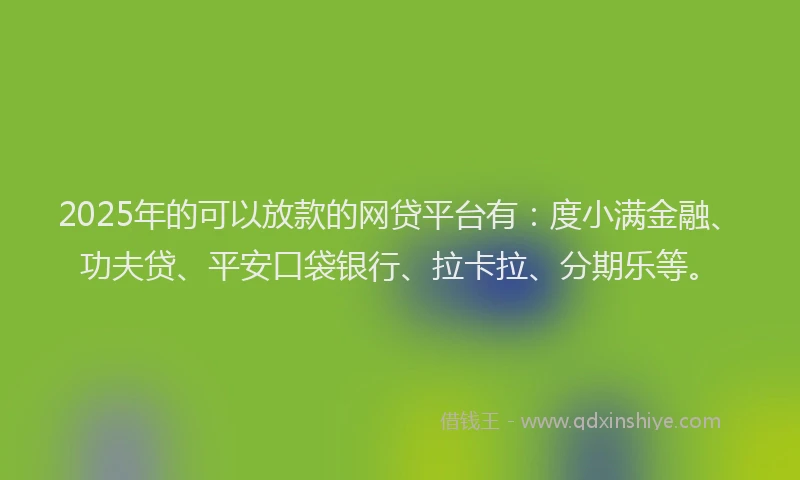 2025年的可以放款的网贷平台有：度小满金融、功夫贷、平安口袋银行、拉卡拉、分期乐等。
