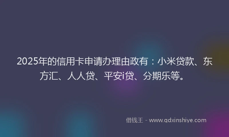 2025年的信用卡申请办理由政有：小米贷款、东方汇、人人贷、平安i贷、分期乐等。