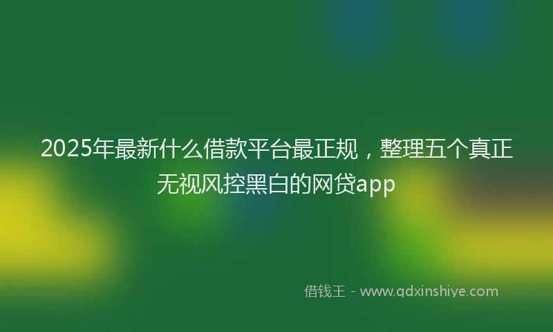 2025年最新什么借款平台最正规，整理五个真正无视风控黑白的网贷app
