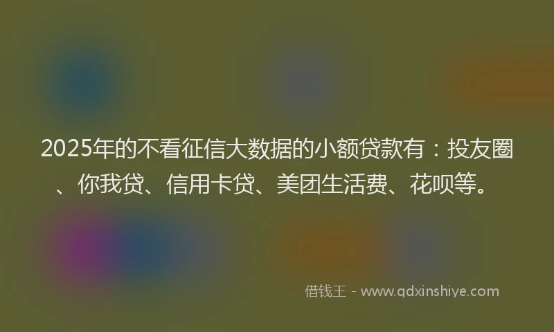 2025年的不看征信大数据的小额贷款有：投友圈、你我贷、信用卡贷、美团生活费、花呗等。