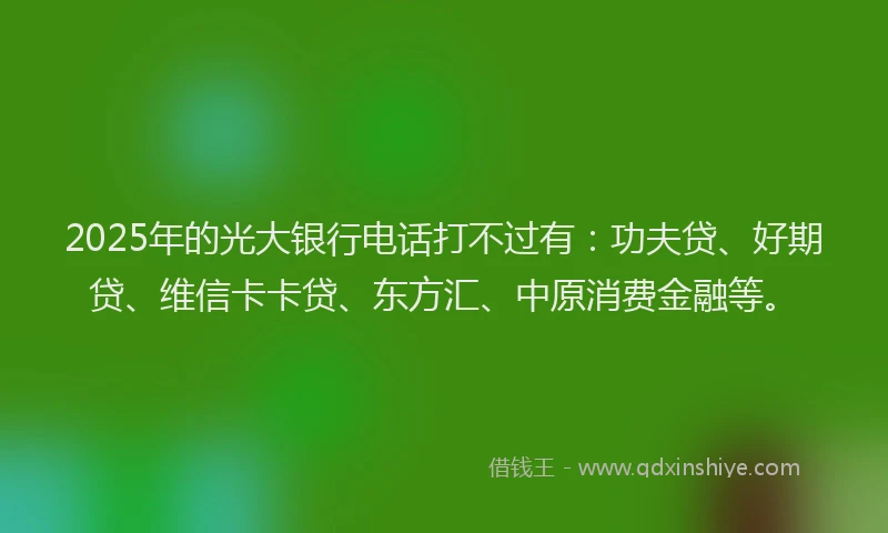 2025年的光大银行电话打不过有：功夫贷、好期贷、维信卡卡贷、东方汇、中原消费金融等。
