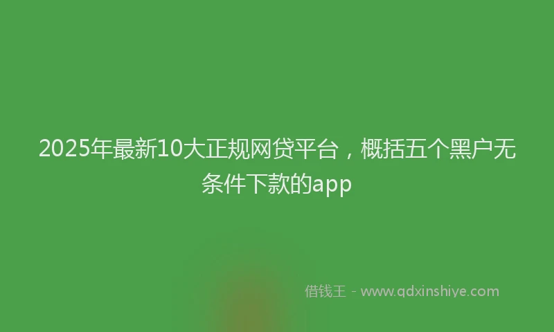 2025年最新10大正规网贷平台，概括五个黑户无条件下款的app