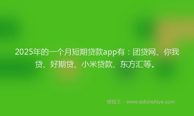 2025年的一个月短期贷款app有：团贷网、你我贷、好期贷、小米贷款、东方汇等。