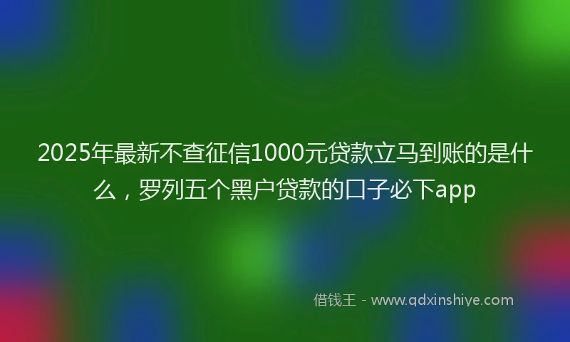 2025年最新不查征信1000元贷款立马到账的是什么，罗列五个黑户贷款的口子必下app