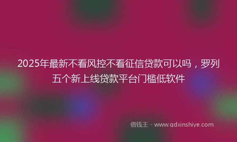 2025年最新不看风控不看征信贷款可以吗，罗列五个新上线贷款平台门槛低软件