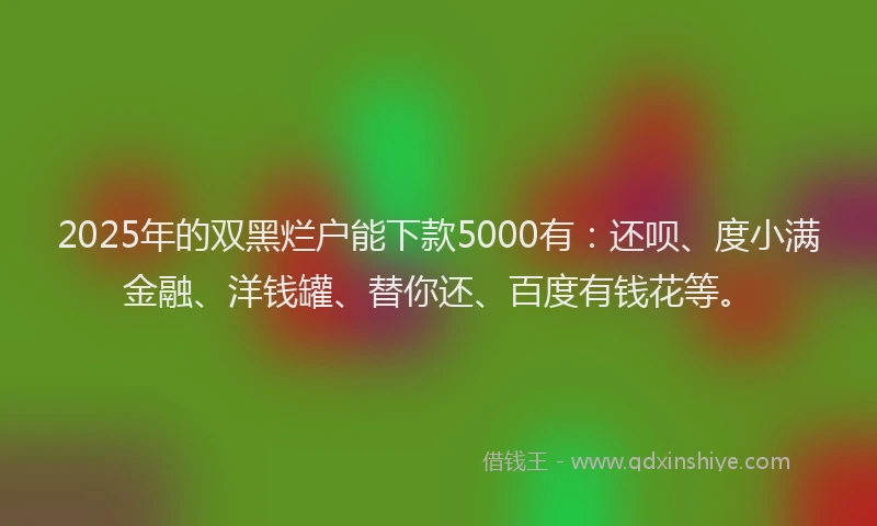2025年的双黑烂户能下款5000有：还呗、度小满金融、洋钱罐、替你还、百度有钱花等。