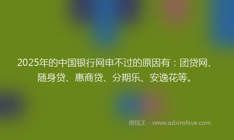 2025年的中国银行网申不过的原因有：团贷网、随身贷、惠商贷、分期乐、安逸花等。