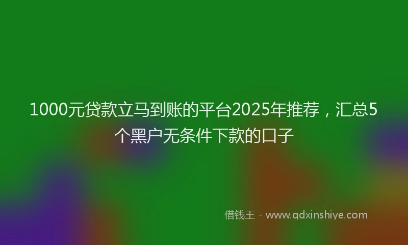 1000元贷款立马到账的平台2025年推荐，汇总5个黑户无条件下款的口子