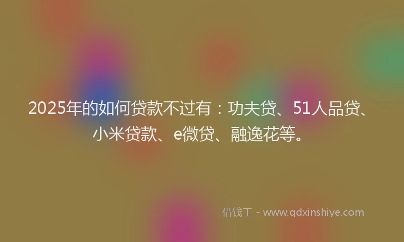 2025年的如何贷款不过有：功夫贷、51人品贷、小米贷款、e微贷、融逸花等。