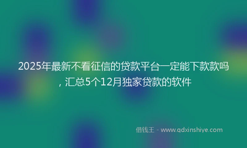 2025年最新不看征信的贷款平台一定能下款款吗，汇总5个12月独家贷款的软件