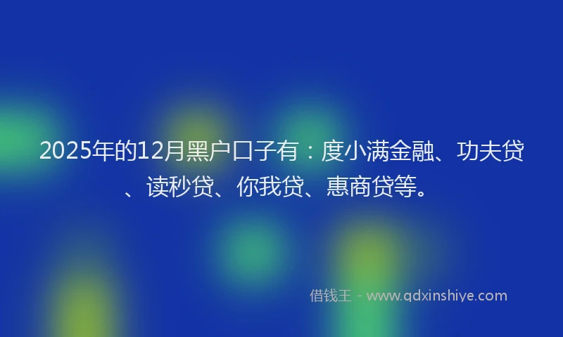 2025年的12月黑户口子有：度小满金融、功夫贷、读秒贷、你我贷、惠商贷等。