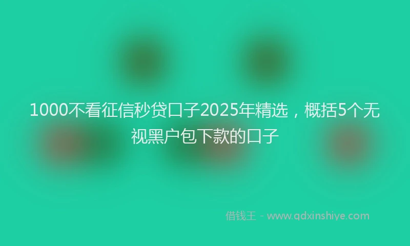 1000不看征信秒贷口子2025年精选，概括5个无视黑户包下款的口子