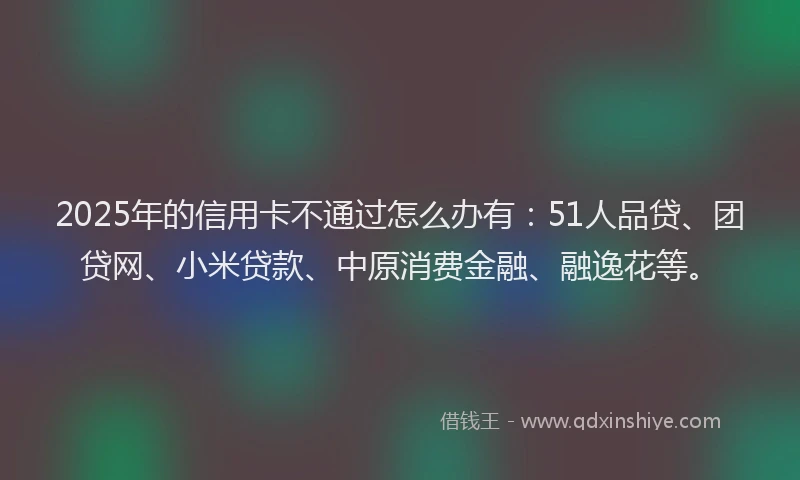 2025年的信用卡不通过怎么办有：51人品贷、团贷网、小米贷款、中原消费金融、融逸花等。