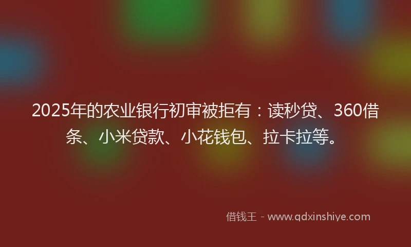 2025年的农业银行初审被拒有：读秒贷、360借条、小米贷款、小花钱包、拉卡拉等。