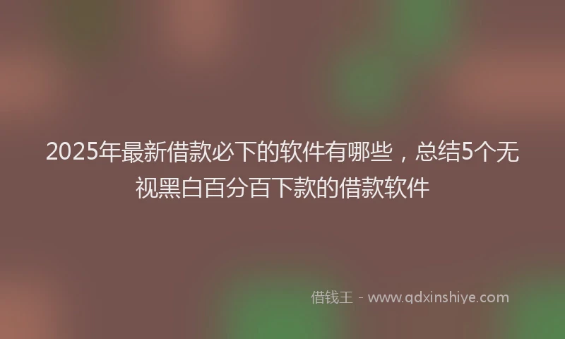 2025年最新借款必下的软件有哪些，总结5个无视黑白百分百下款的借款软件