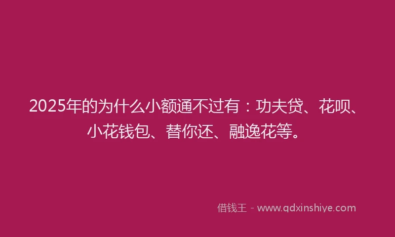 2025年的为什么小额通不过有：功夫贷、花呗、小花钱包、替你还、融逸花等。