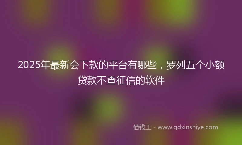 2025年最新会下款的平台有哪些，罗列五个小额贷款不查征信的软件