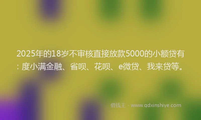2025年的18岁不审核直接放款5000的小额贷有：度小满金融、省呗、花呗、e微贷、我来贷等。