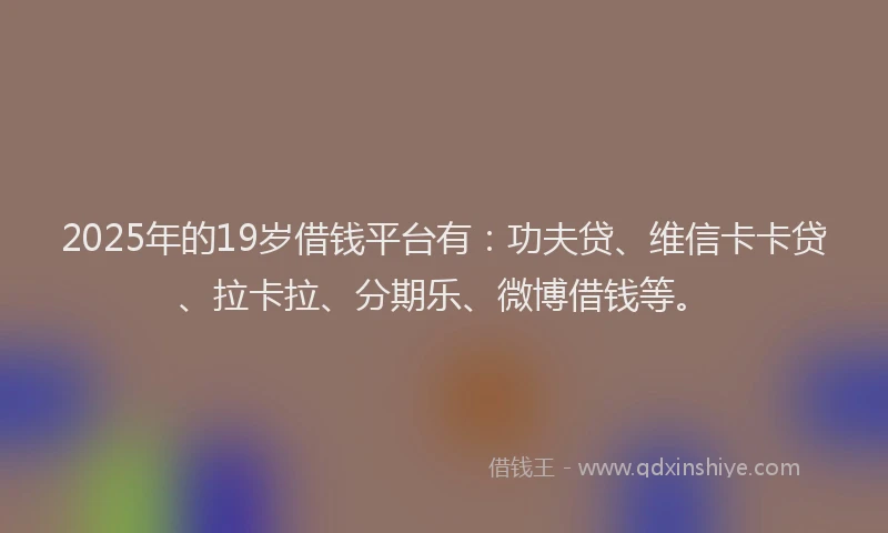 2025年的19岁借钱平台有：功夫贷、维信卡卡贷、拉卡拉、分期乐、微博借钱等。