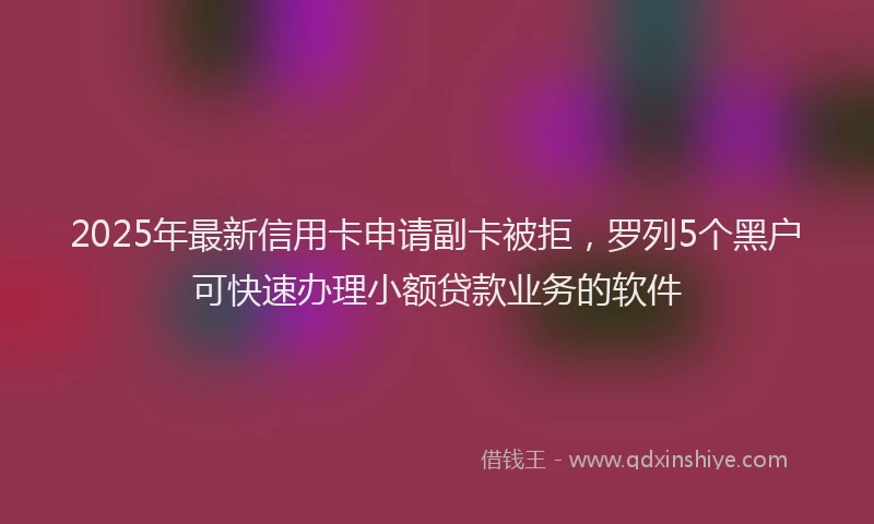 2025年最新信用卡申请副卡被拒，罗列5个黑户可快速办理小额贷款业务的软件