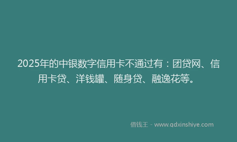 2025年的中银数字信用卡不通过有：团贷网、信用卡贷、洋钱罐、随身贷、融逸花等。