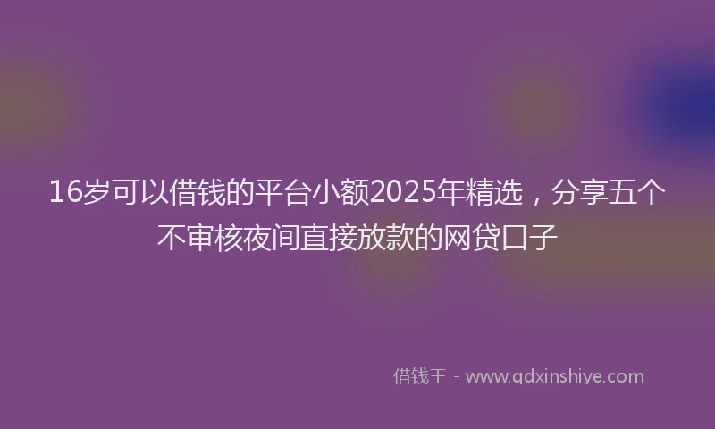 16岁可以借钱的平台小额2025年精选，分享五个不审核夜间直接放款的网贷口子