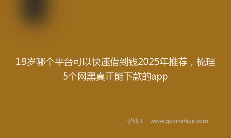 19岁哪个平台可以快速借到钱2025年推荐，梳理5个网黑真正能下款的app