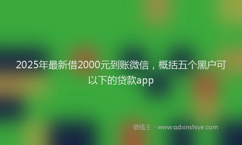 2025年最新借2000元到账微信，概括五个黑户可以下的贷款app