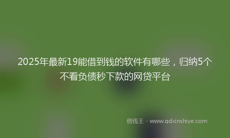 2025年最新19能借到钱的软件有哪些，归纳5个不看负债秒下款的网贷平台