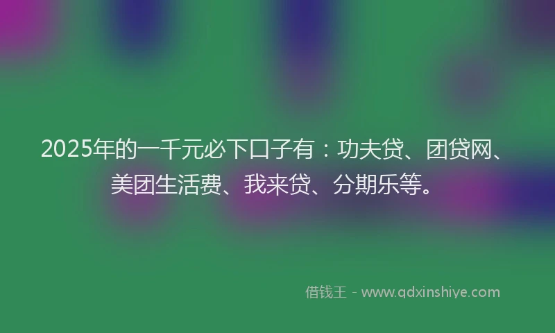 2025年的一千元必下口子有：功夫贷、团贷网、美团生活费、我来贷、分期乐等。