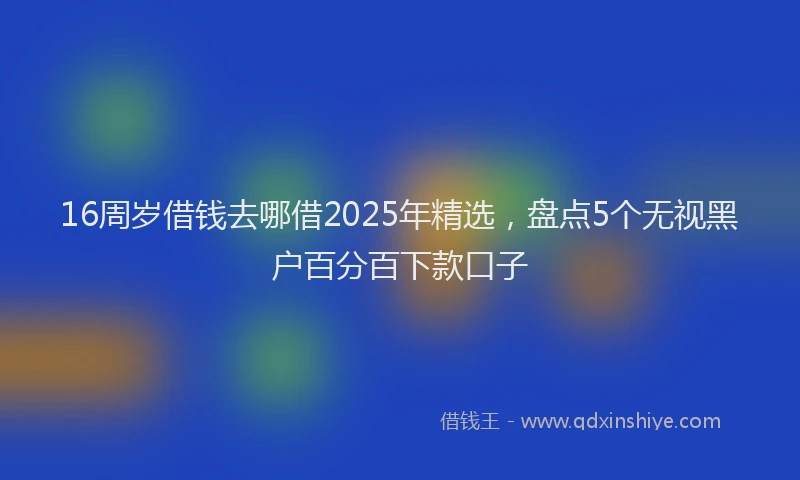 16周岁借钱去哪借2025年精选，盘点5个无视黑户百分百下款口子