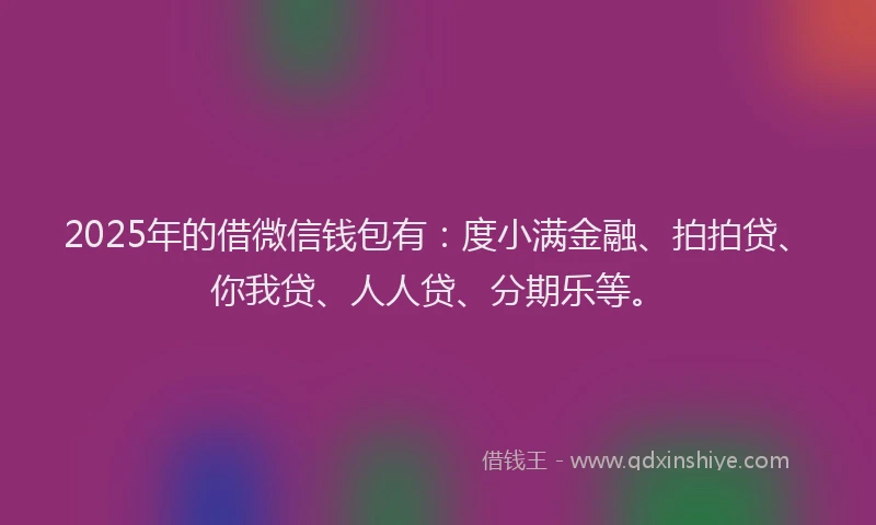 2025年的借微信钱包有：度小满金融、拍拍贷、你我贷、人人贷、分期乐等。