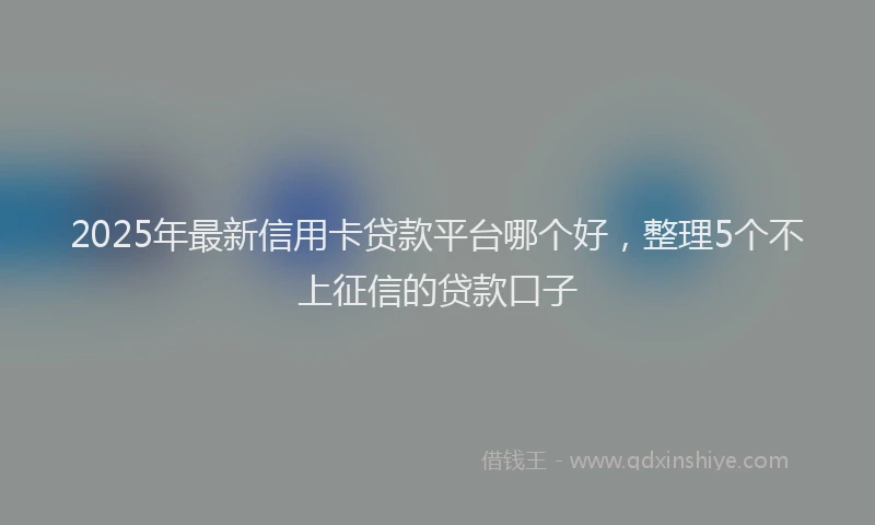 2025年最新信用卡贷款平台哪个好，整理5个不上征信的贷款口子