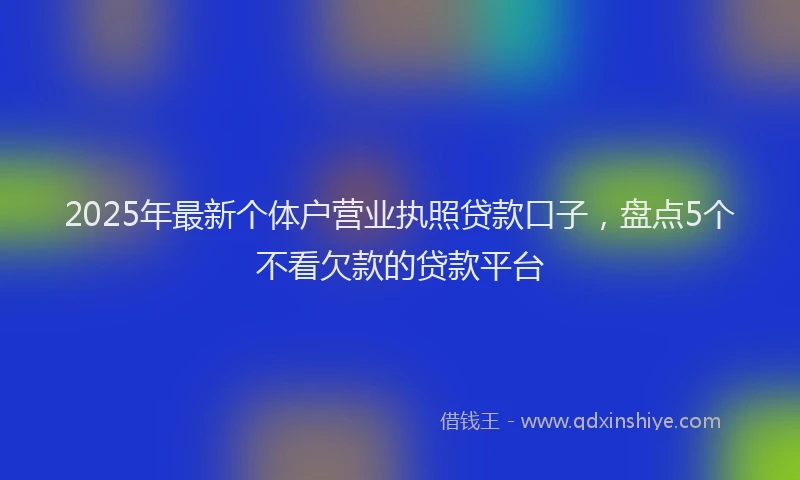 2025年最新个体户营业执照贷款口子，盘点5个不看欠款的贷款平台