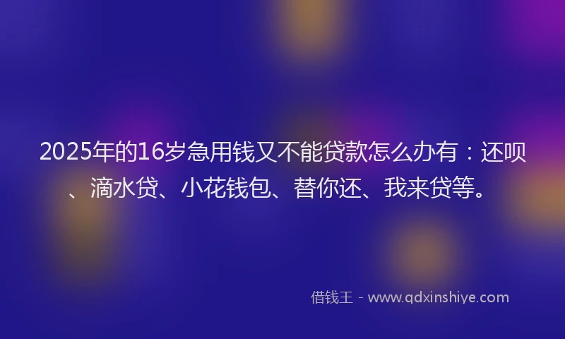 2025年的16岁急用钱又不能贷款怎么办有：还呗、滴水贷、小花钱包、替你还、我来贷等。