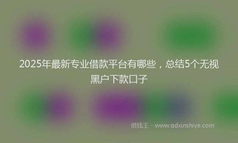 2025年最新专业借款平台有哪些，总结5个无视黑户下款口子