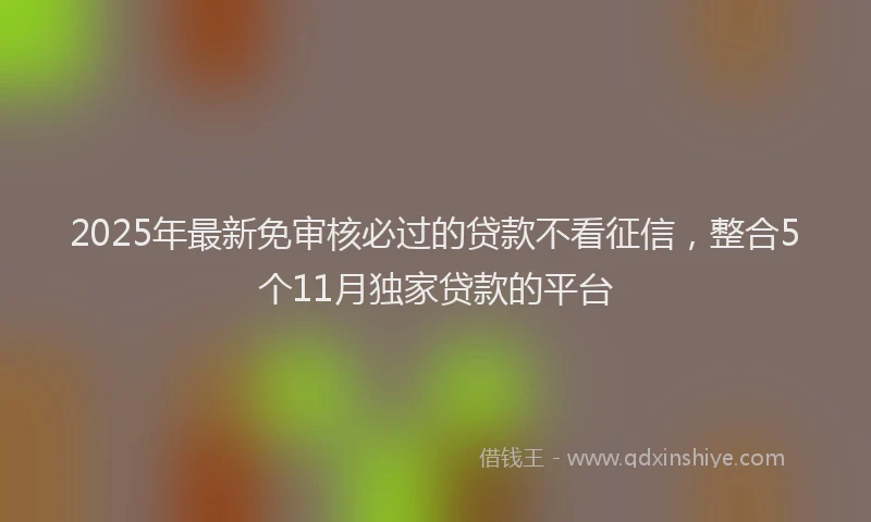 2025年最新免审核必过的贷款不看征信，整合5个11月独家贷款的平台